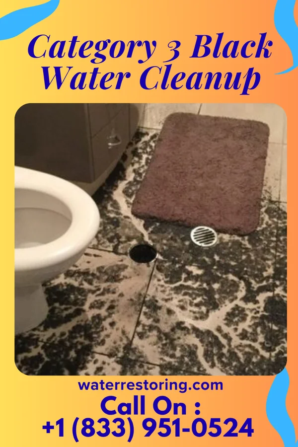 Category 3 Black Water Cleanup in Goshen, KY