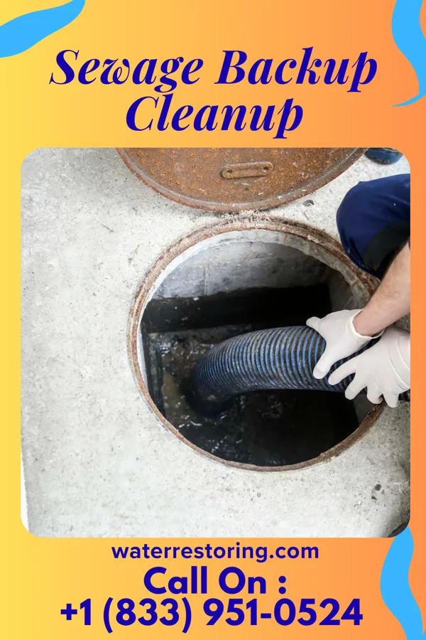 Sewage Backup Cleanup in Goshen, KY